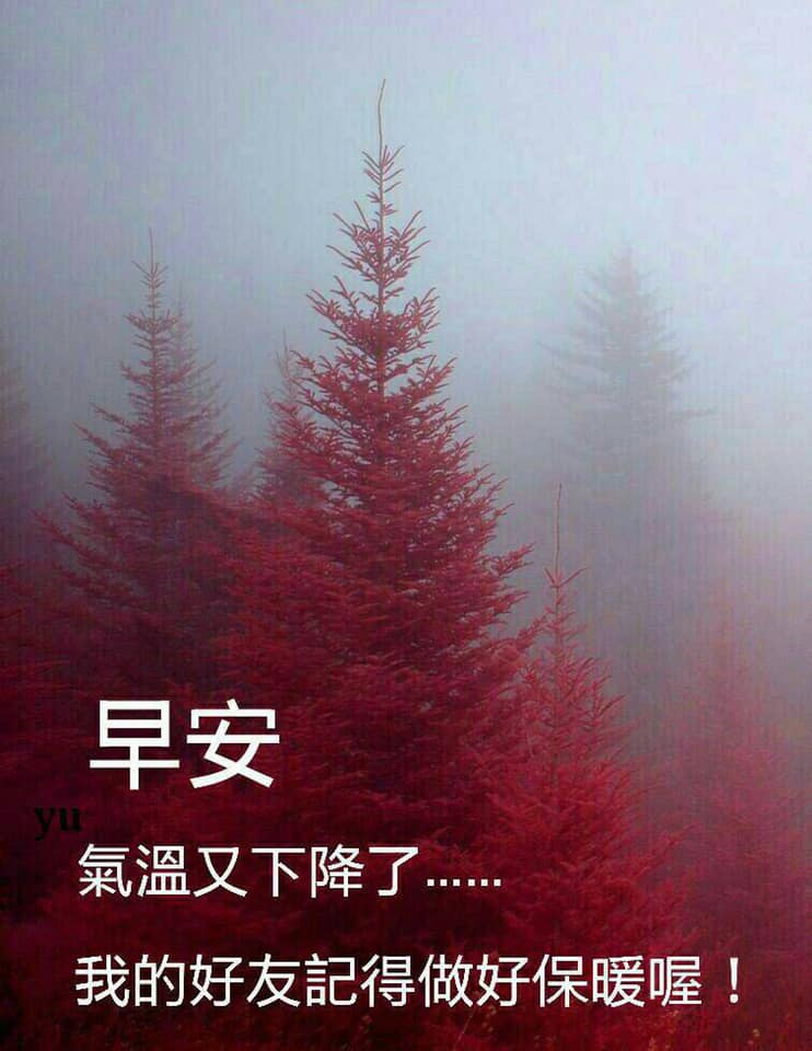 早安圖下載